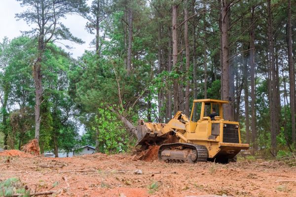 Cost of Site Cleaning in Cedar City